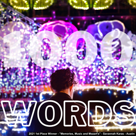 Is Your Picture Worth A 1000 Words?