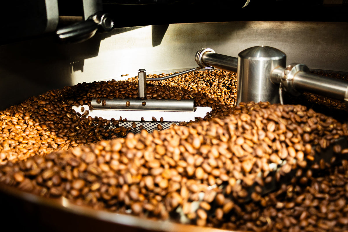 How to Choose and Brew Mozart's Coffee Roasters Beans Like a Barista at Home