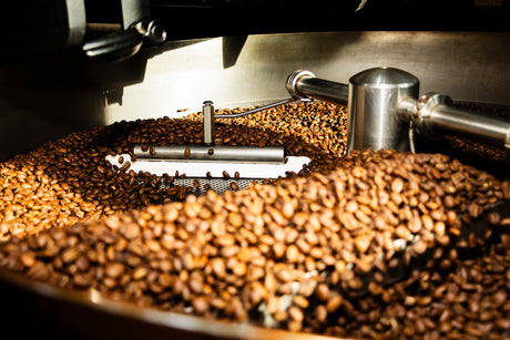 How to Choose and Brew Mozart's Coffee Roasters Beans Like a Barista at Home