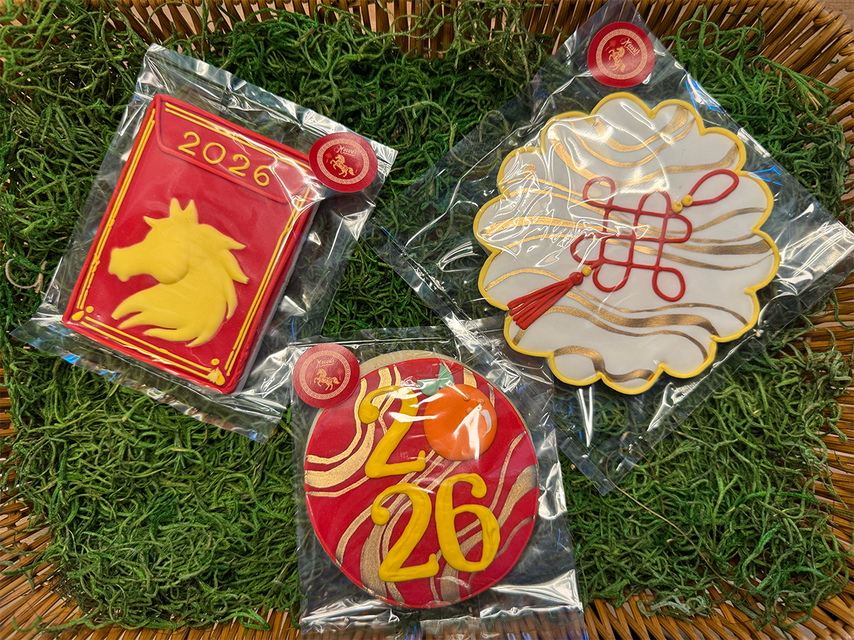 Lunar New Year 2026 - Year of the Fire Horse