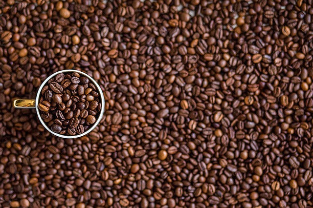 SILENT AUCTION - 2lbs Mozart’s blend and 1lb Roaster's Choice